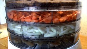 ЕДА В ПОХОД: сушеный лук | сублиматы своими руками | рецепты для туризма