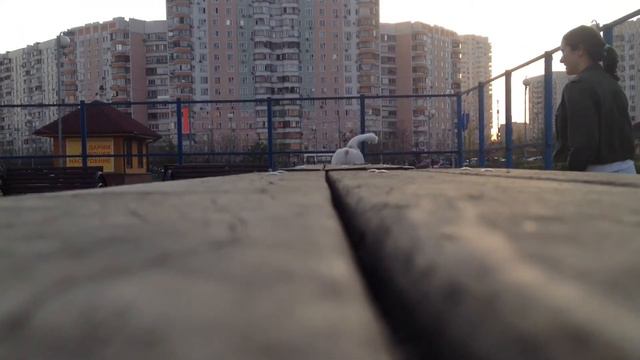 Два бигля смотреть онлайн