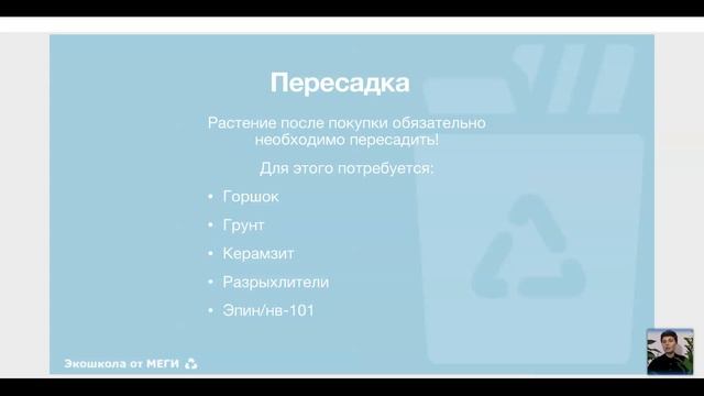 Озеленение квартир и пространств. Как украсить дом растениями? / Екатерина Минина смотреть онлайн