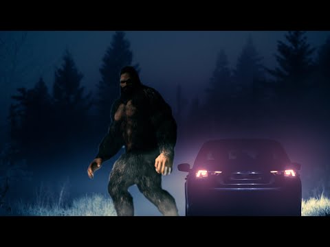 UFO Hunters Experience the Sasquatch смотреть онлайн