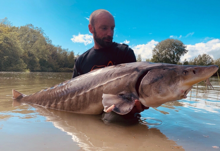 317.Трофеи 100.mp4 смотреть онлайн