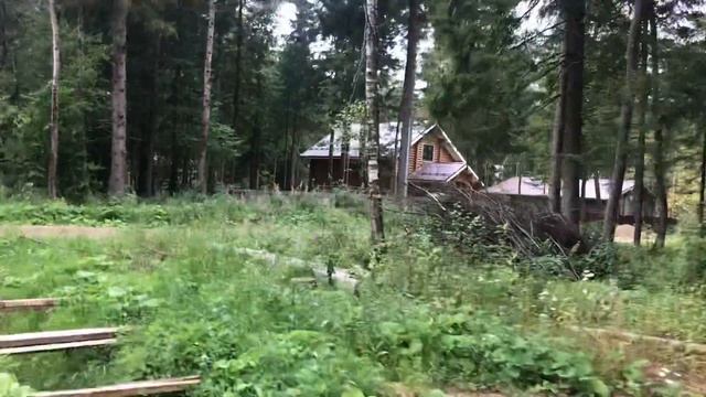 Хвойные дачи-2 смотреть онлайн