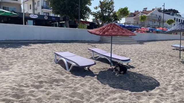 ФЕТХИЕ - ПЛЯЖ ЧАЛЫШ, ОБЗОР ОТЕЛЯ С ВИДОМ НА МОРЕ, ТУРЦИЯ ВЛОГ 2022 смотреть онлайн