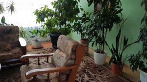 Обзор на 1 корпус санатория Янтарный Берег!