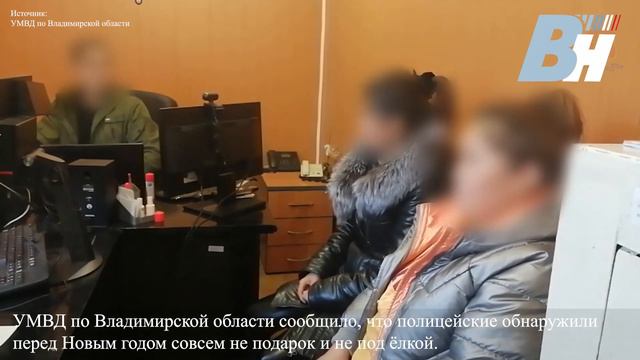 Во Владимирской области полицейские перед Новым годом обнаружили совсем не подарок