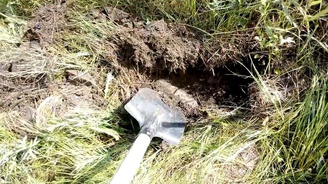 Старые места дают результат. смотреть онлайн