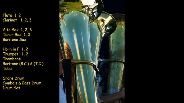 Money, Money, Money - Marching Bands arrangement - עיבוד לתזמורת смотреть онлайн