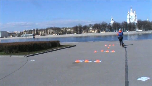 Кубок Панды, забавное смотреть онлайн