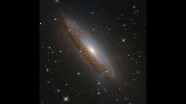 12 дом в Раке ♋ смотреть онлайн