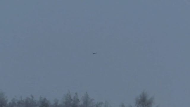№ 1933 08. 01. 2022 Дубоносы и другие смотреть онлайн