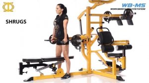 Мультистанция на свободных весах POWERTEC WB-MS16