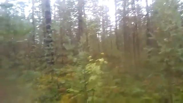 Мел,Сосново,24 08 17 смотреть онлайн