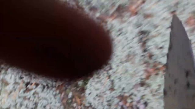 Грибное ассорти леса, у домика мечты смотреть онлайн