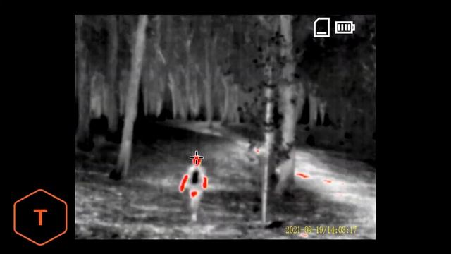 Teslong TTS260 Thermal Monocular First Use Video смотреть онлайн