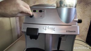 Saeco Vienna - вход в сервисное меню и тестирование основных механизмов.