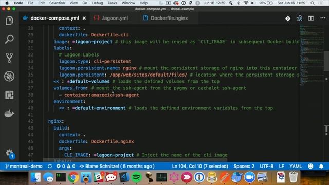 Lagoon: OpenSource Docker Build & Deploy System with Full Drupal Support смотреть онлайн