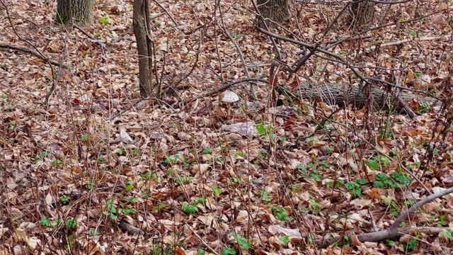 Кулинарная мастерская 