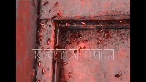 как можно здесь жить как вы живете ? никак не живем ...