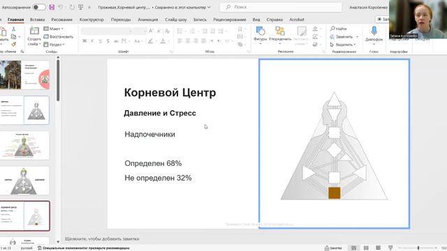 Корневой центр — это наше выживание, безопасность, драйв и стресс смотреть онлайн
