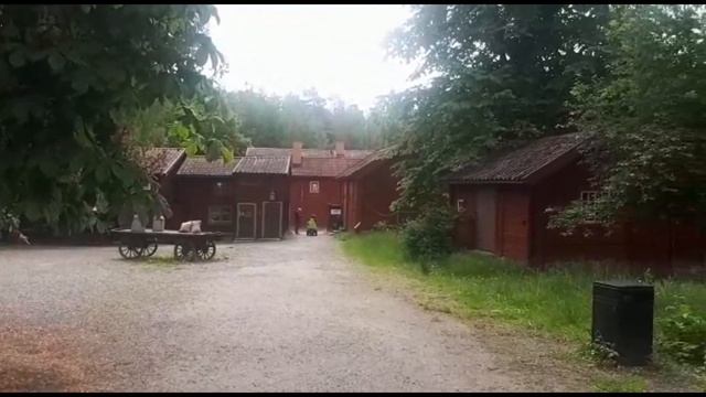 Sweden national day in 2020 /Sweden national day in 2019 смотреть онлайн