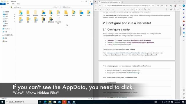 Create ABEL wallet address & hands-on the CLI Lite Wallet within 10 minutes! смотреть онлайн