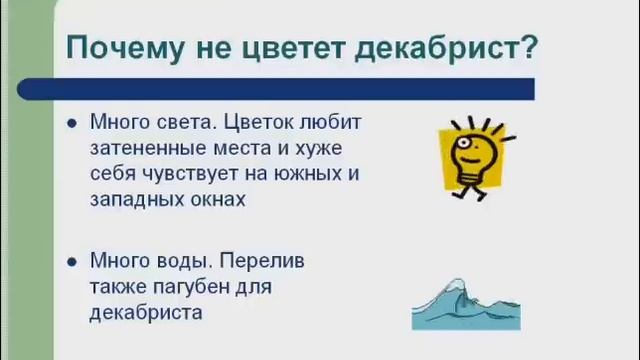 Почему не цветет декабрист ? смотреть онлайн