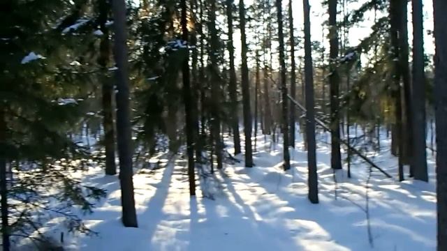 Покатушка Хитрой команды 24.02.2013 смотреть онлайн