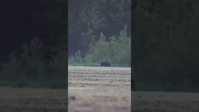 Тепловизоры iRay смотреть онлайн