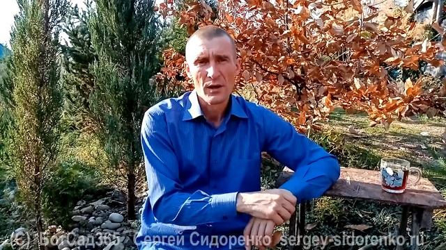Переезд на землю 3 часть Особенности южного садоводства смотреть онлайн