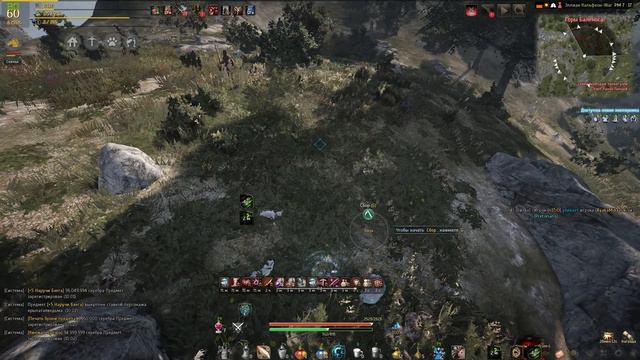 Black Desert (RU) - Как вывести пегаса. Готовимся к обновлению в bdo. смотреть онлайн
