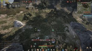 Black Desert (RU) - Как вывести пегаса. Готовимся к обновлению в bdo.