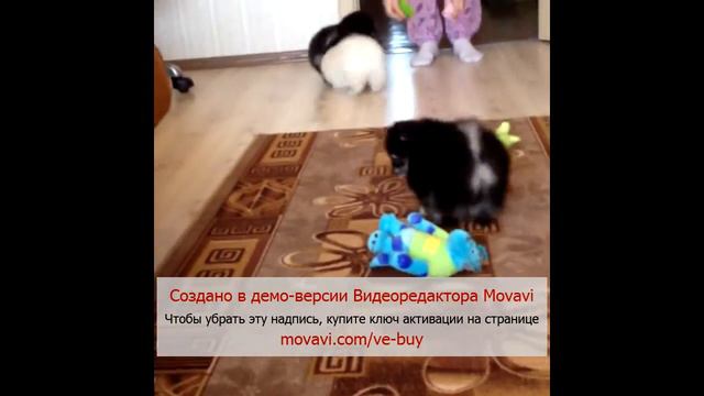 Без названия 7 смотреть онлайн