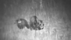 Pulsar Digisight N770A