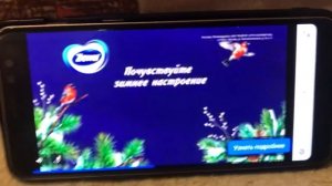 Реклама Zewa — Декабрь 2023