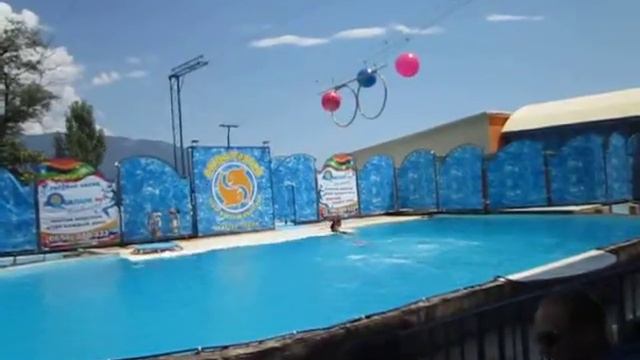 дельфинарий в Крыму смотреть онлайн