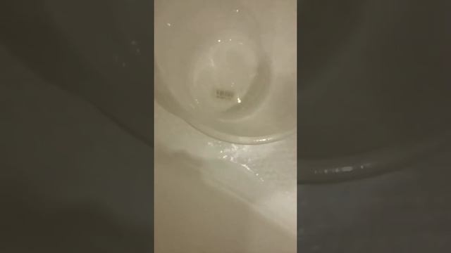 Рыбки у нас дома смотреть онлайн