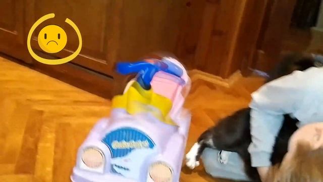 Котики смешные :) Кот и автомобиль для детей. Дети играют прикольное видео | Cat videos. Cats funny смотреть онлайн