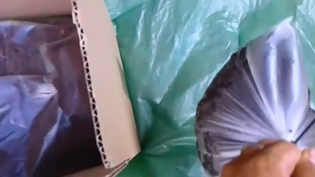 Выращивание грибов - бизнес идея смотреть онлайн