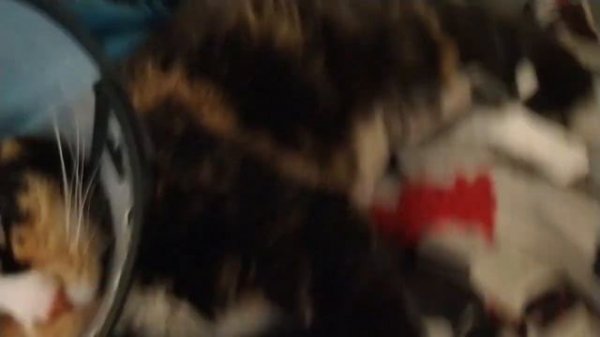 Tokyo Ghoul~ Kaneki Movie Mask Tutorial!!