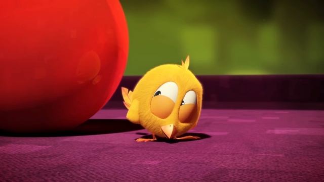 Where's Chicky? Funny Chicky 2020 | WEIRD GAME | Chicky Cartoon In English For Kids