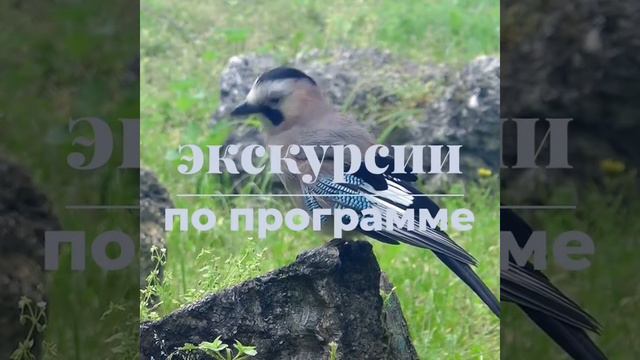 Куда можно поехать в марте? Кисловодск - Суворовские купальни - Пятигорск. смотреть онлайн