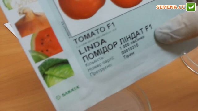 Антифейк томат Линда Sakata смотреть онлайн