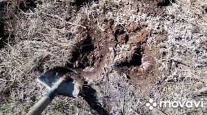 Коп металла с металлоискателем МД 4030. Плюсы и минусы .