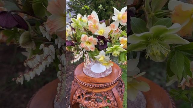 Daffodils, Hellebores, Honeysuckle, Pussy Willow and Pieris Japonica in a Pin Frog #gardening смотреть онлайн