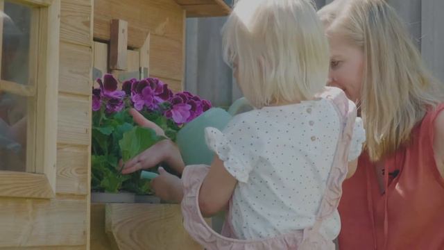 How to care for garden plant Pelargonium Grandiflorum? 4 care tips for this type of Geranium! смотреть онлайн