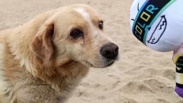 FRESH!INK PLUSHIE - LIMITED EDITION