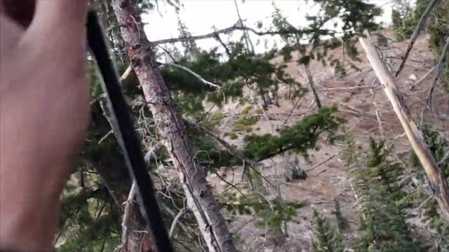 Big 6x7 Bull Elk 2020 Utah Public Land Any Bull Hunt (Full Video) смотреть онлайн