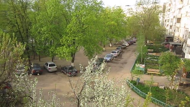 Тест камеры canon a3200is смотреть онлайн