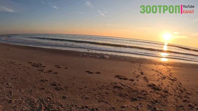 Аркадия Одесса сегодня. Золотой Берег. Море после шторма. Трасса здоровье. Оползень. #зоотроп смотреть онлайн