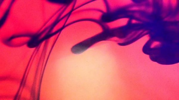 MACRO -  Диффузия красок в воде. Коротко и ясно. Macro video FullHD. Макросъёмка. Macrolife.